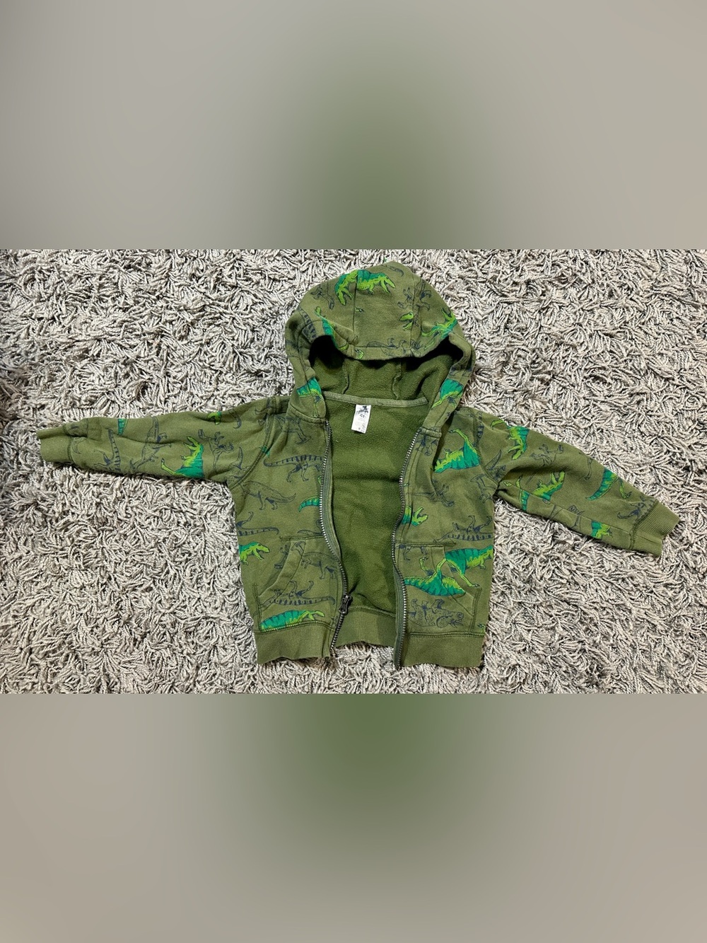 Carter's Olive Green Dinosaur Zip Hoodie